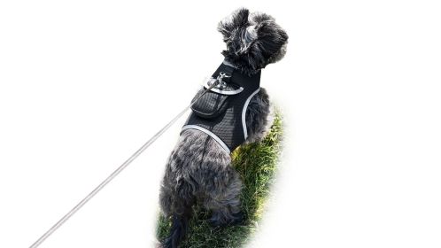 Collar Mount Pocket Global Pet Finder GPS Pet Tracker Portable Locator Size:M