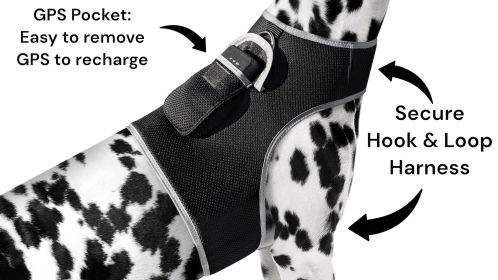 NEW GPRS GSM Small Pet GPS Tracker Waterproof Security for Cat & Dog Size:XS