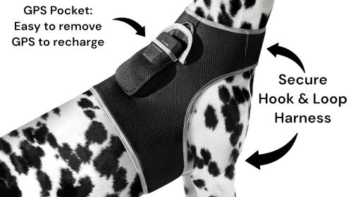 Inexpensive Waterproof Realtime Portable GPS Pet Tracker w/ Geo-Fence Size:XXL