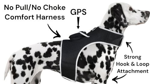 Rechargeable GPS Collar Dog Tracking Chip w/ Battery Alert Waterproof Size:XS