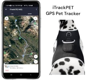 Universal GPS Dog Tracker Collar Clipped Rechargeable Mini Pet Tracking Device Size:L